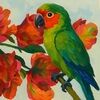 thriftyparrot